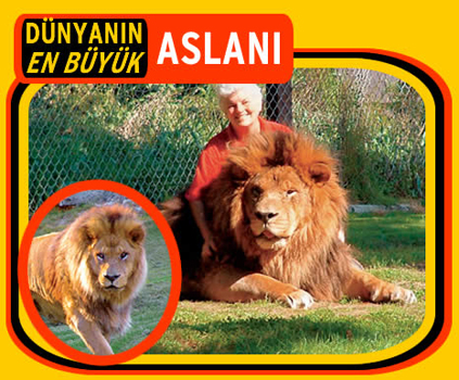 Dünyanın en büyükleri 2