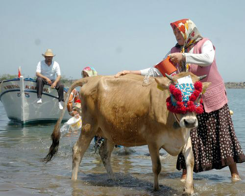 Bu fotoğraflar çok ilginç 13