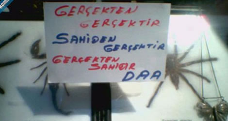 Yurdum insanı güldürüyor 6