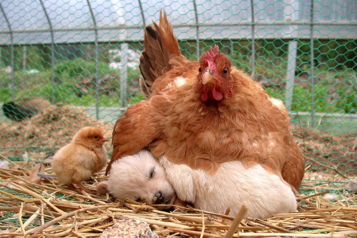 Fotoğrafta zamanlama 3