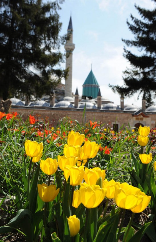 Konya, Lalelerle Rengarenk Oldu 3