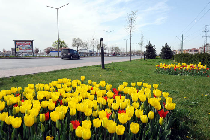 Konya, Lalelerle Rengarenk Oldu 4