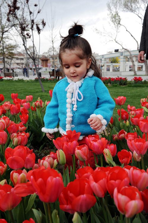 Konya, Lalelerle Rengarenk Oldu 5
