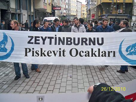 Püskevit 8