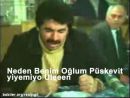 Püskevit