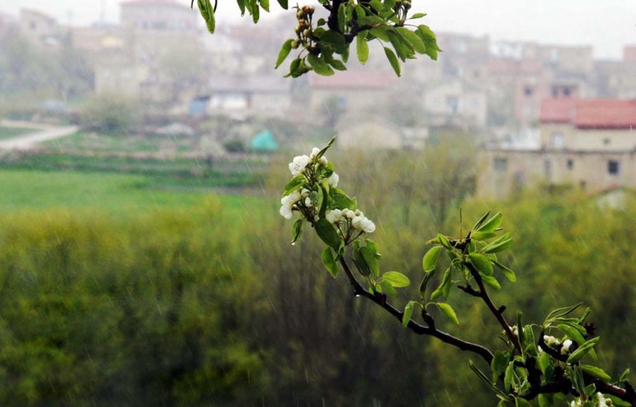 Konya / Tepekent 7