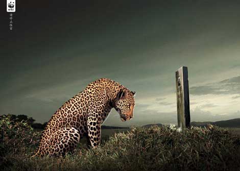 İşte photoshop harikaları 11