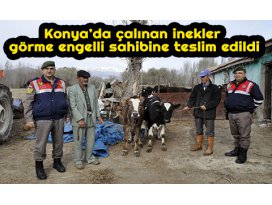 Konya’da çalınan inekler görme engelli sahibine teslim edildi