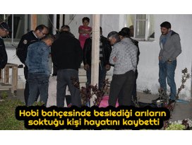 Hobi bahçesinde beslediği arıların soktuğu kişi hayatını kaybetti
