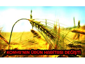 Konya’nın ürün haritası değişti