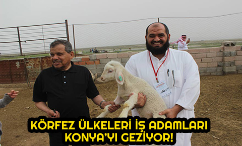 Körfez ülkeleri iş adamları Konyayı geziyor