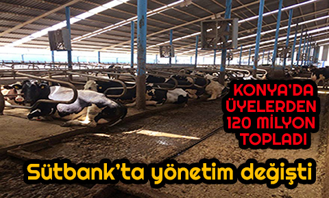 Üyelerden 120 milyon toplayan Sütbank’ta yönetim değişti