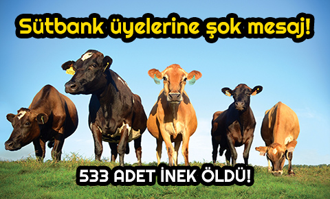 Sütbank üyelerine şok mesaj!