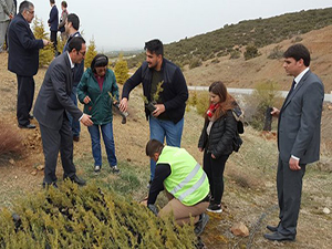 Beyşehir’de fidan dikme etkinliği
