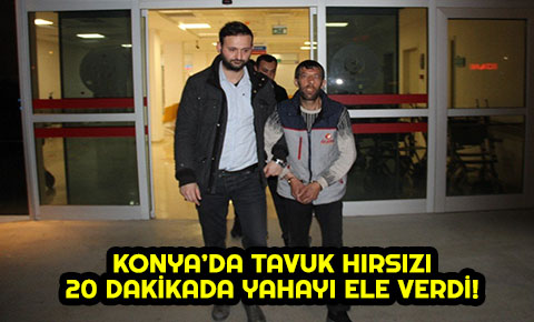 7 tavuk çalan şüpheli 20 dakikada yakalandı