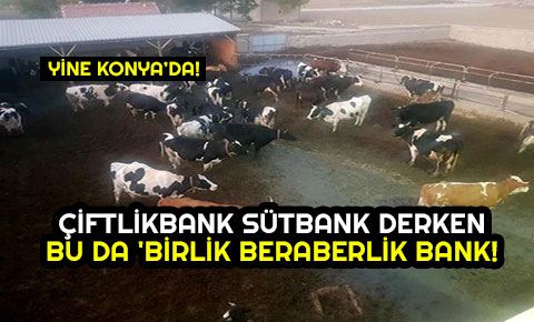 Çiftlik Banktan sonra Birlik Beraberlik Çiftliğine operasyon: 2 gözaltı