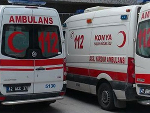 Konyada köpeğe çarpan otomobil devrildi