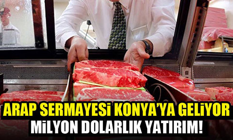 Arap yatırımcı et ve süt için geliyor