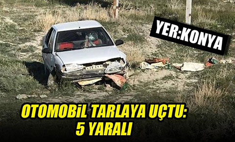 Otomobil tarlaya uçtu: 5 yaralı