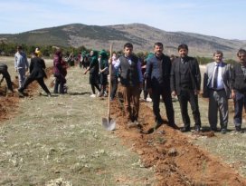 Derbent daha da yeşile bürünecek