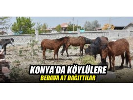 Konyada köylülere bedava at dağıttılar