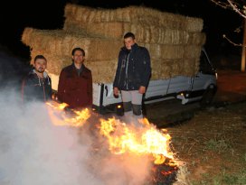 Kiraz üreticileri don nöbetinde