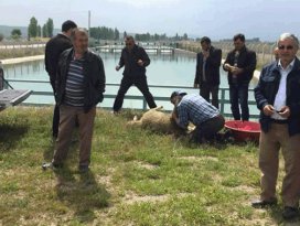 Seydişehirde sulama sezonu açıldı