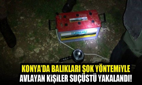 Konya Beyşehir Gölü’nde yasak dönemde şokla avlanmaya para cezası