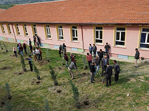 Derebucakta öğrenciler okul bahçesine fidan dikti