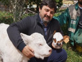 Yerli üretime destek zorunludur