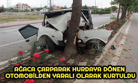 Ağaca çarparak hurdaya dönen otomobilden yaralı olarak kurtuldu