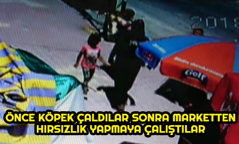 Önce köpek çaldılar sonra marketten hırsızlık yapmaya çalıştılar
