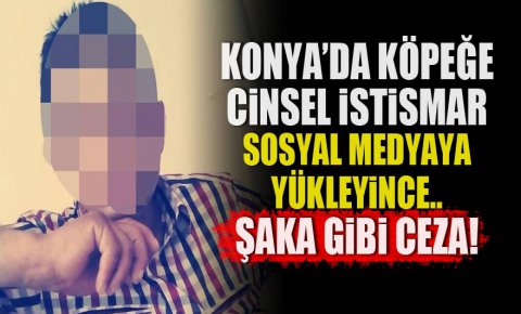 Konyada köpeğe cinsel istismar!