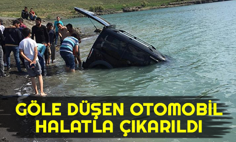 Göle düşen otomobil halatla çıkarıldı