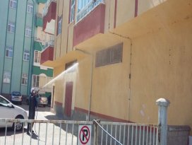 Beyşehir’de Belediyesinden tırtıl mücadelesi