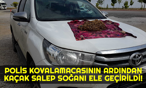 Kaçak salep soğanı ele geçirildi