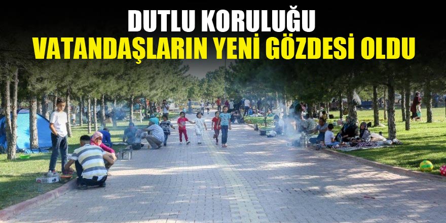 Meram Dutlu Koruluğu vatandaşların yeni gözdesi oldu