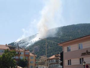 Akşehirdeki orman yangını söndürüldü