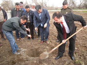 200 fidan toprakla buluştu