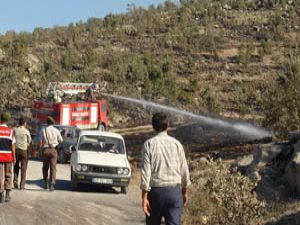 Orman yangınında 10 hektarlık alan kül oldu