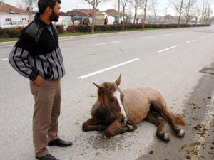 Acı içinde kıvrandı!