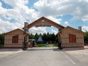 Kent Ormanı Güneş Enerjisiyle aydınlanacak