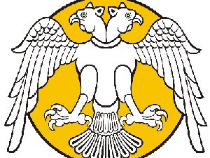 SÜnden operasyon açıklaması