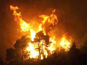 Hadimde 2 ayrı yangın