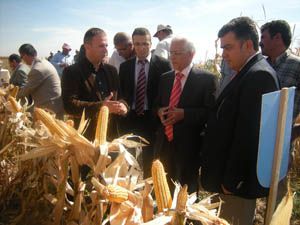 Tarla gününde yeni mısır çeşidi tanıtıldı