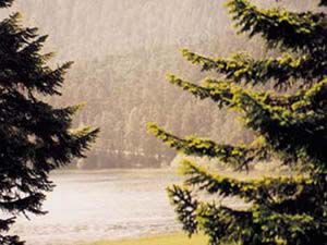 Yağmur çiftçinin yüzünü güldürdü