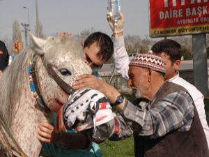 Tramvay ata çarptı