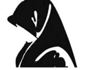 Beni başörtülü bir Hekime emanet ediniz