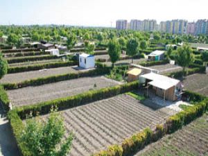 Hobi bahçelerine yeni düzenleme