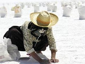 Dünyanın kurtuluşu Tuz Gölü’nden olacak